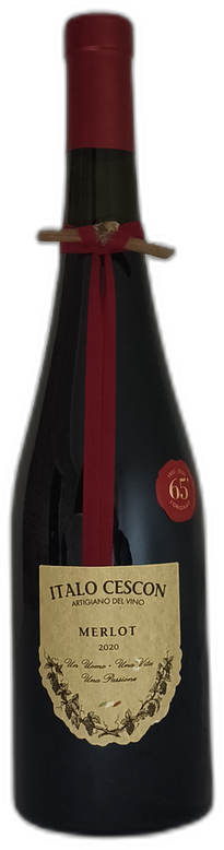 Merlot “Il Tralcetto” 2020