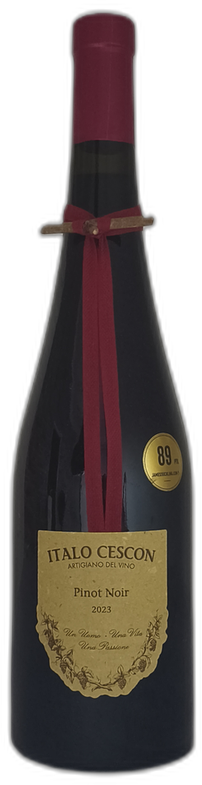 Pinot Noir “Il Tralcetto” 2023
