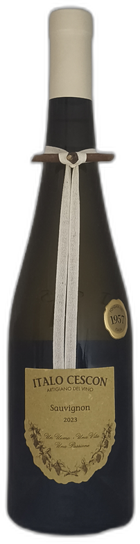 Sauvignon “Il Tralcetto” 2023